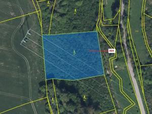 Dražba lesa, Vysoké Mýto, 4766 m2