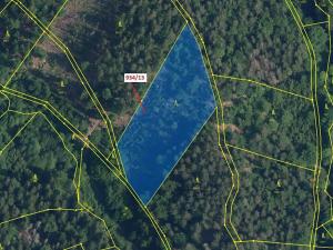 Dražba lesa, Jílové u Držkova, 6213 m2