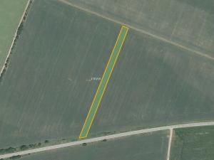 Prodej pole, Majetín, 11657 m2