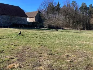 Prodej pozemku pro bydlení, Blatná, 3772 m2