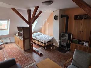 Prodej rodinného domu, Praha - Žižkov, Jilmová, 292 m2