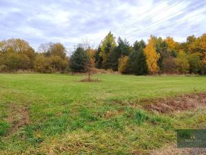 Prodej louky, Rokycany, K Lopatárně, 4651 m2