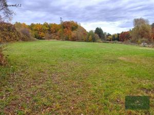 Prodej louky, Rokycany, K Lopatárně, 4651 m2