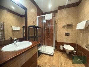 Pronájem bytu 2+kk, Plzeň, Na Roudné, 77 m2