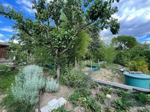 Prodej zahrady, Plzeň, Sluneční, 359 m2