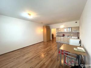 Pronájem bytu 1+kk, Olomouc, Družební, 30 m2