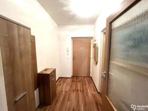 Pronájem bytu 1+kk, Olomouc, Družební, 30 m2