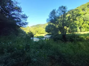 Prodej chaty, Hřebečníky, 90 m2