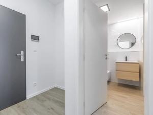 Pronájem bytu 1+kk, České Budějovice, 43 m2