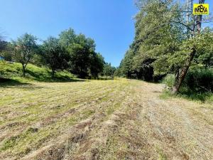 Prodej pozemku pro bydlení, Soběslav, 4703 m2