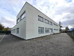 Pronájem výrobních prostor, Brno, Franzova, 785 m2