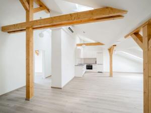 Pronájem bytu 3+kk, Praha - Nové Město, Václavské náměstí, 98 m2