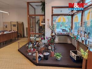 Prodej atypického bytu, Lázně Libverda, 120 m2