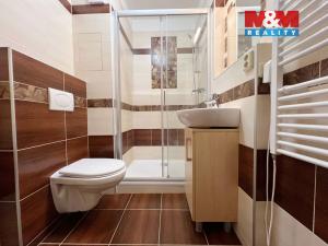 Pronájem bytu 1+kk, Strakonice - Přední Ptákovice, Šumavská, 26 m2