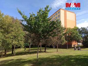 Pronájem, Most, Kpt. Jaroše, 29 m2