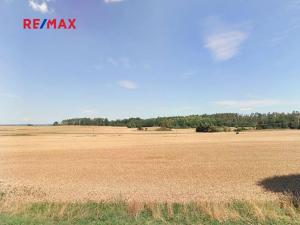 Prodej pole, Chornice, 11593 m2