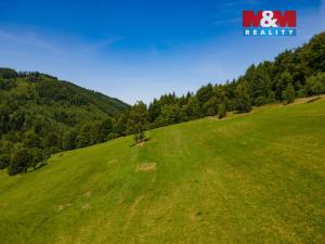 Prodej pole, Nýdek, 17552 m2