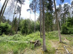 Prodej lesa, Blížejov - Lštění, 4152 m2