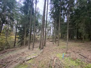 Prodej lesa, Srbice - Těšovice, 3279 m2