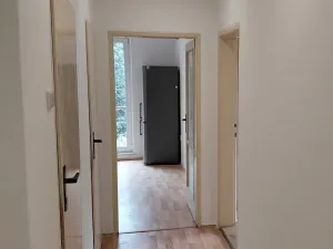 Pronájem bytu 3+1, Ostrov, Lidická, 74 m2