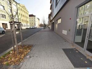 Pronájem bytu 2+kk, Praha - Vršovice, Petrohradská, 118 m2