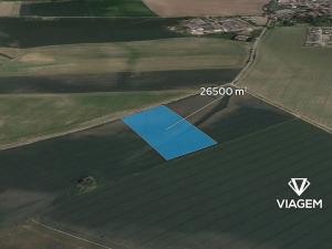 Prodej podílu pole, Chotětov, 2650 m2
