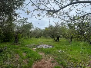 Prodej vily, Scalea, Itálie, 180 m2