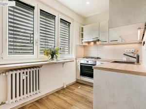 Prodej bytu 2+1, Brno - Štýřice, Renneská třída, 57 m2