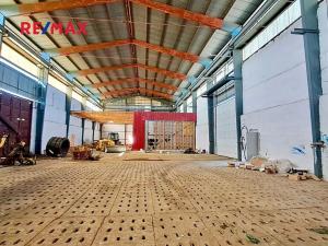 Prodej výrobních prostor, Dolní Chvatliny, 3690 m2