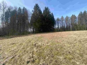 Prodej pole, Kraslice, 3869 m2