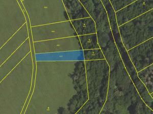 Prodej pole, Knínice - Knínice u Boskovic, 4183 m2