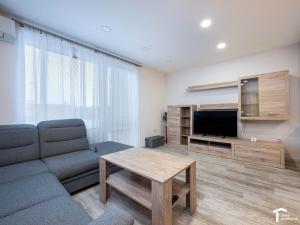 Pronájem bytu 3+kk, Pardubice - Pardubičky, U Borku, 66 m2