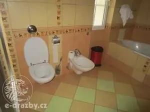 Dražba rodinného domu, Čestlice, Ke Hřišti, 436 m2