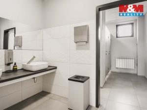 Pronájem kanceláře, Děčín - Děčín II-Nové Město, Benešovská, 320 m2