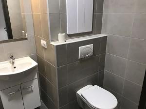 Pronájem bytu 1+1, Karlovy Vary, Celní, 43 m2