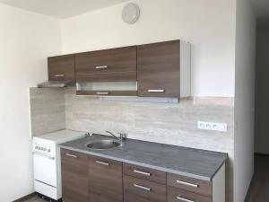 Pronájem bytu 1+1, Karlovy Vary, Celní, 43 m2