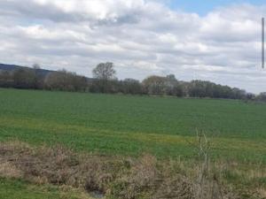 Dražba zahrady, Plzeň, 7558 m2