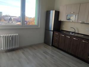 Pronájem bytu 1+1, Ostrava, Ahepjukova, 37 m2