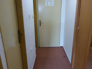 Pronájem bytu 1+kk, Brno, Heršpická, 23 m2