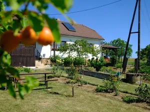 Prodej chalupy, Stříbrnice, 90 m2