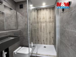 Pronájem bytu 1+1, Ústí nad Labem - Severní Terasa, Kmochova, 33 m2