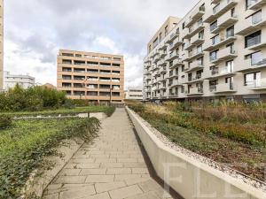 Pronájem bytu 2+kk, Praha - Vysočany, Fafkových, 53 m2