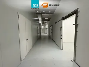Pronájem skladu, Čestlice, Obchodní, 1241 m2