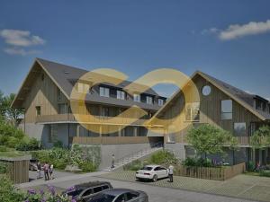 Prodej bytu 1+kk, Nové Hutě, 36 m2