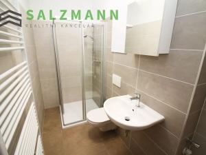 Pronájem bytu 1+kk, Kaznějov, Na Komárově, 28 m2