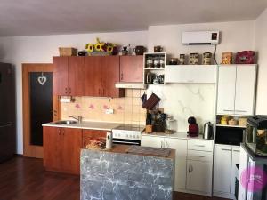 Pronájem bytu 1+kk, Olomouc, Voskovcova, 31 m2