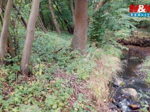 Prodej louky, Bystřice, 682 m2