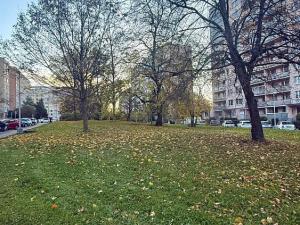 Prodej bytu 3+1, Praha - Chodov, Nechvílova, 80 m2