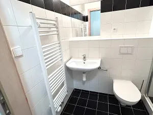 Pronájem bytu 1+kk, Praha - Smíchov, Křížová, 22 m2