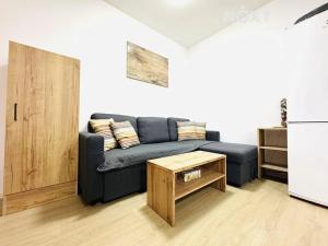 Pronájem bytu 1+kk, České Budějovice, Nádražní, 26 m2